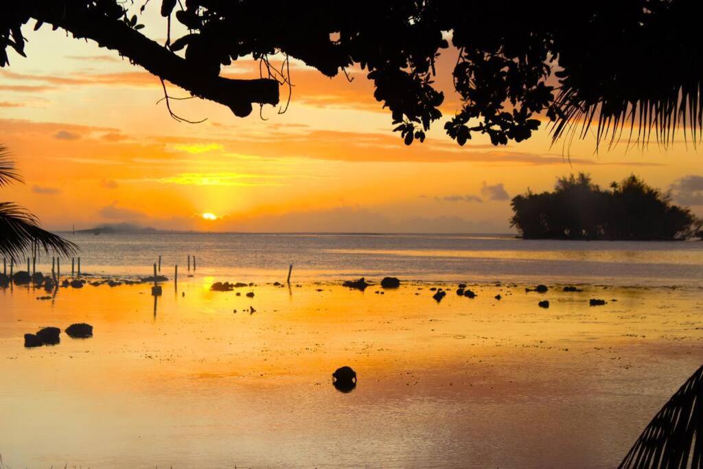 Bungalow Tiarii, Avec Acces Direct A Une Plage Privee Tevaitoa Exterior foto
